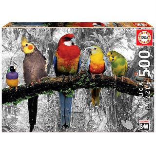 Pajaros En La Jungla