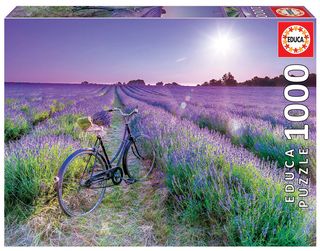 Bicicleta En Un Campo De Lavanda 1000Pz