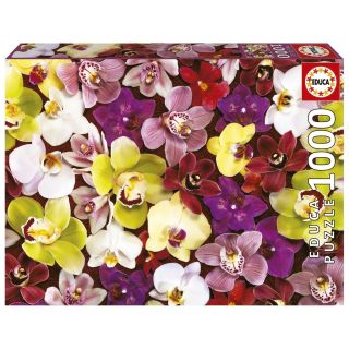 Collage De Orqudeas 1000Pz