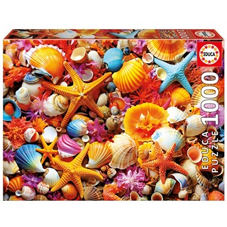 Collage De Conchas 1000Pz