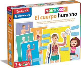 El Cuerpo Humano - Montessori