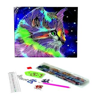 Arte Diamante Gato De Colores